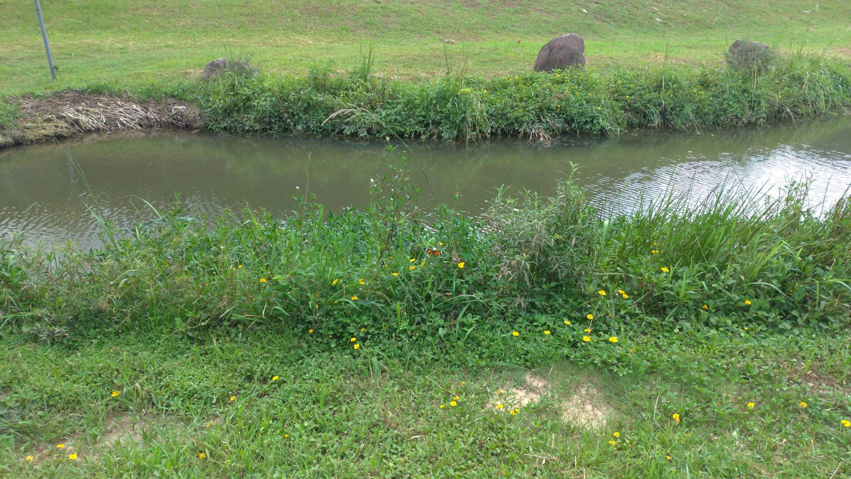 1150705生活動態(內湖碧湖步道)