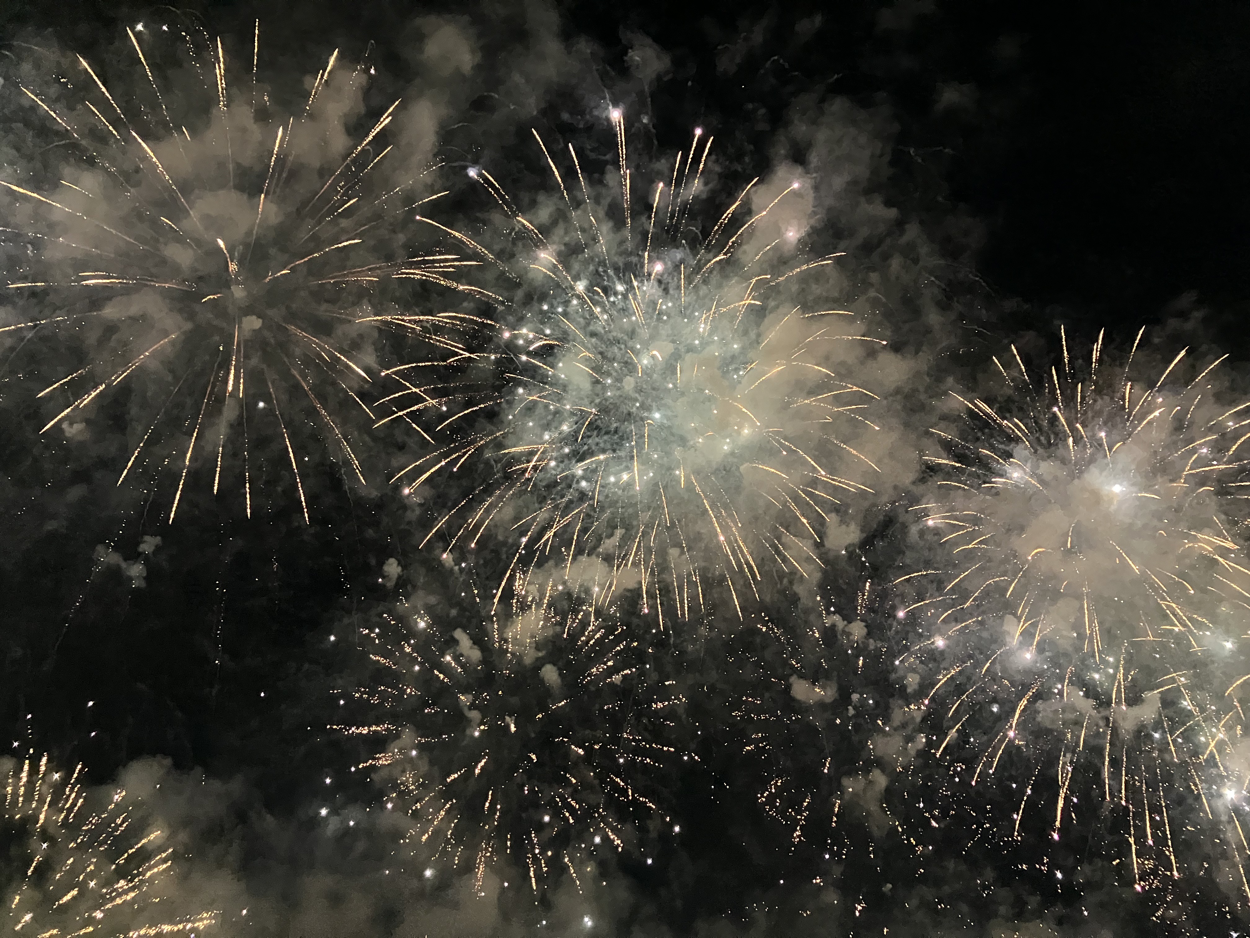 115年8月15日(大稻埕煙火、真誠的對話)